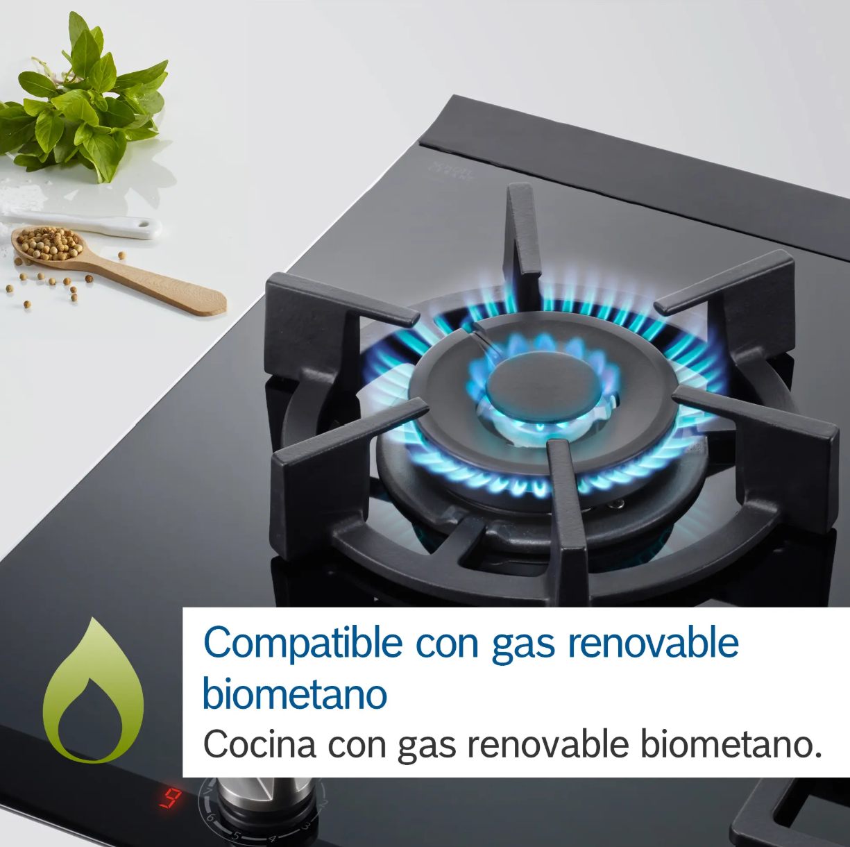 Cubierta de Gas Vidrio Templado Bosch 75 CM